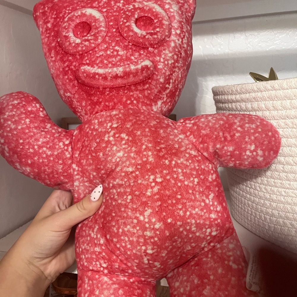 Red and White Plush Bear